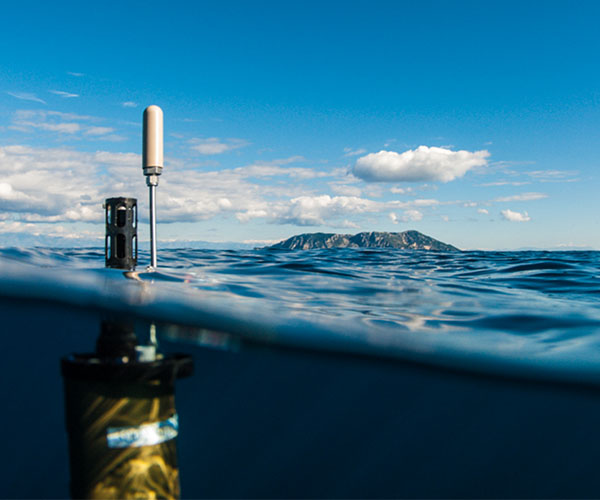 Visit any Marine Research Centres around the Mediterranean